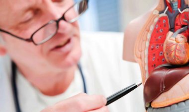 تعلم كيف تقوم بحرق واذابة الـدهون حول الكبد  وتقوية عـضلة القلـب