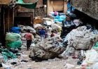 العثور على جثة امرأة عارية داخل حاوية قمامة في الجيزة شاهد الصور